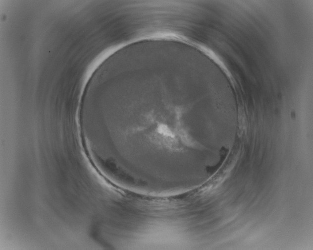 X0000068770959200604281235