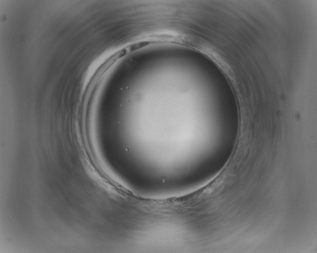 X0000068770960200604281235