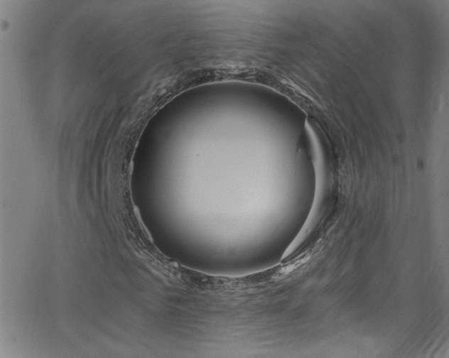 X0000068770961200604281234