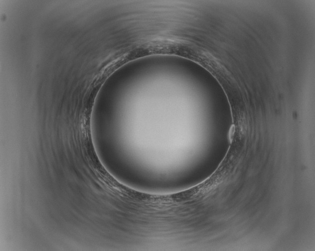 X0000068770964200604281234