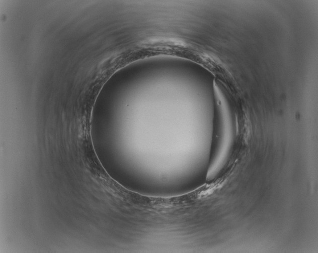 X0000068770965200604281234