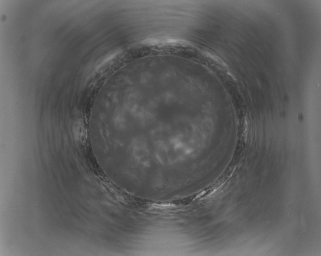 X0000068770966200604281234