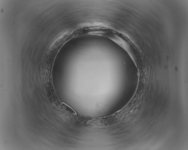 X0000068770967200604281234