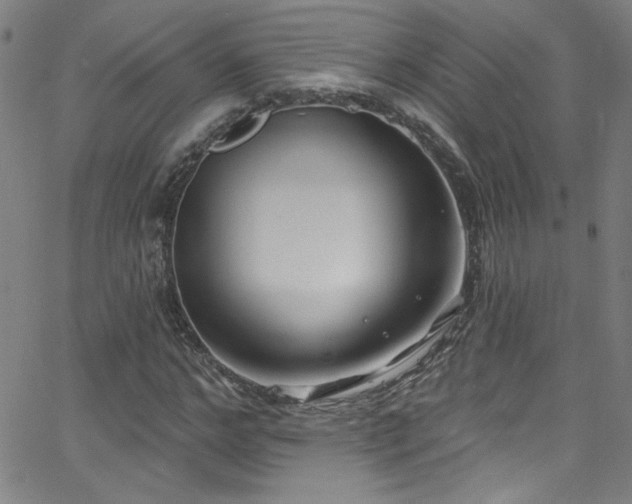 X0000068770968200604281234