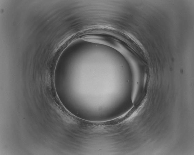 X0000068770969200604281234