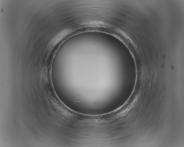 X0000068770970200604281234