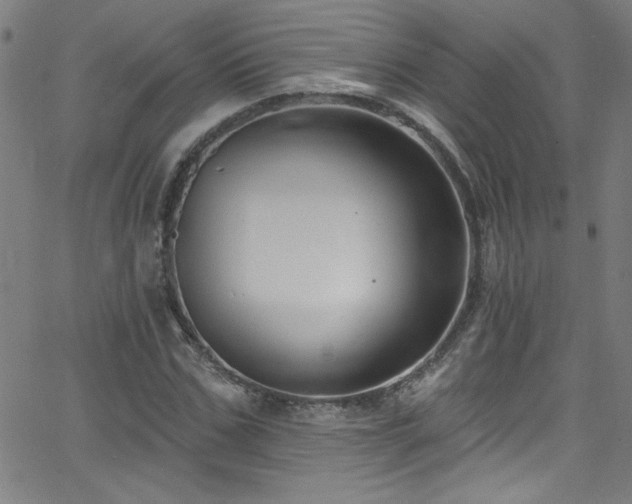 X0000068770971200604281234