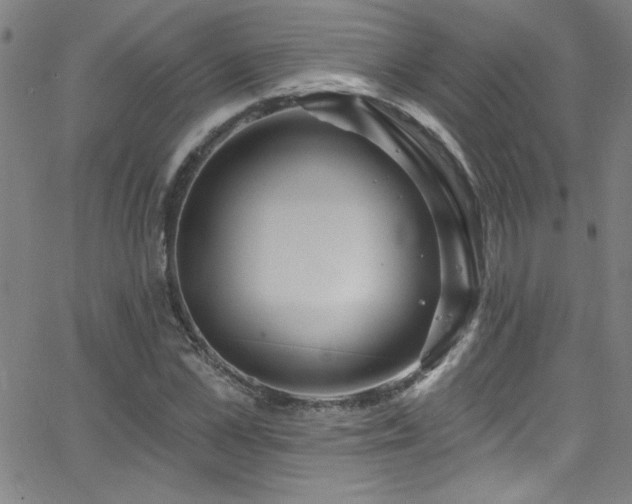 X0000068770973200604281234