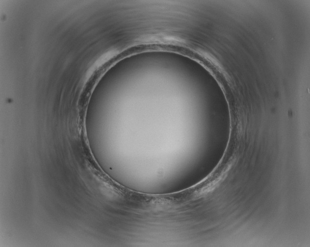 X0000068770974200604281234