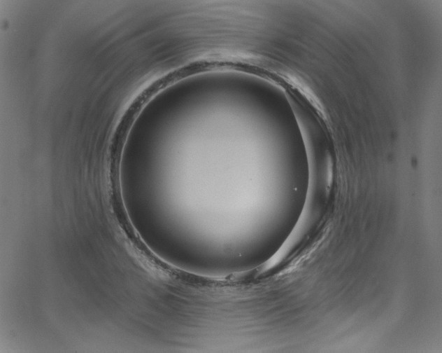 X0000068770976200604281234