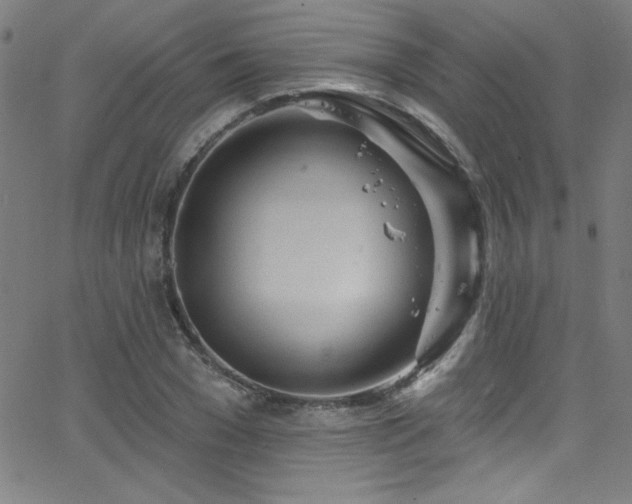 X0000068770977200604281234