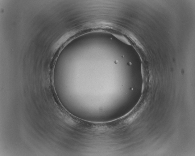 X0000068770978200604281234