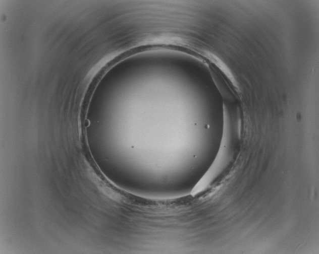 X0000068770980200604281234