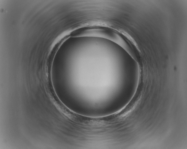 X0000068770981200604281234