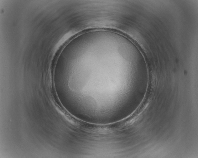 X0000068770982200604281234