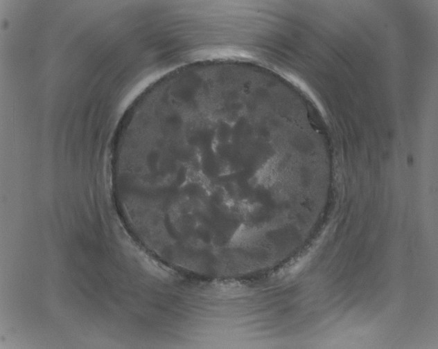 X0000068770983200604281234