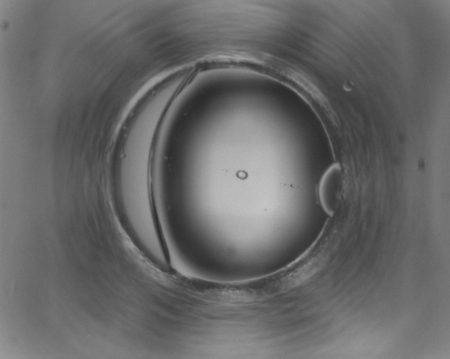 X0000068770984200604281234