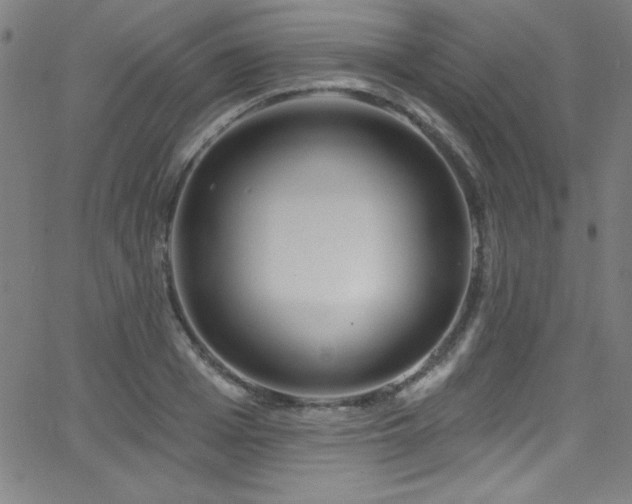 X0000068770985200604281234