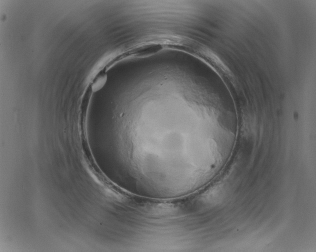 X0000068770986200604281234