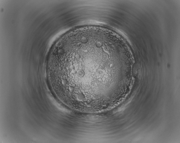 X0000068770987200604281234