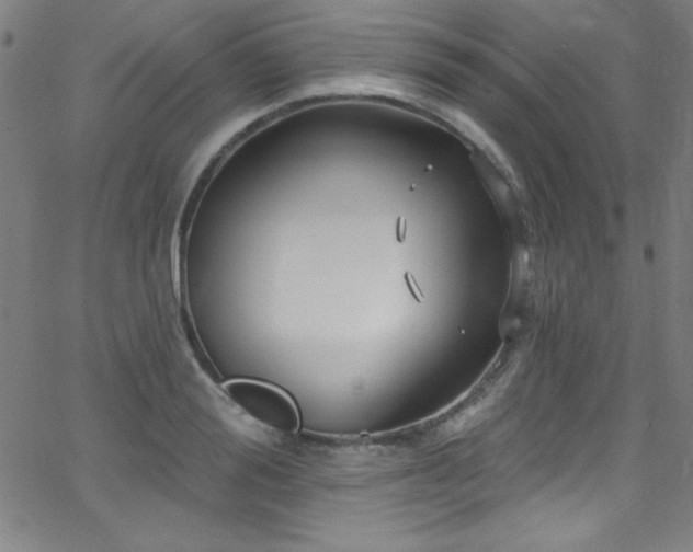 X0000068770988200604281234