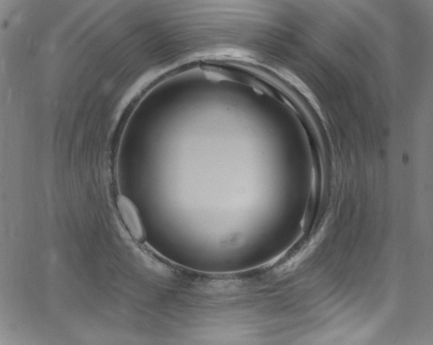 X0000068770989200604281234