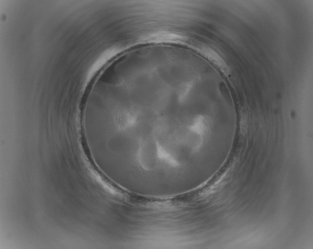 X0000068770990200604281234