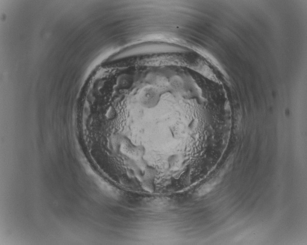 X0000068770991200604281234