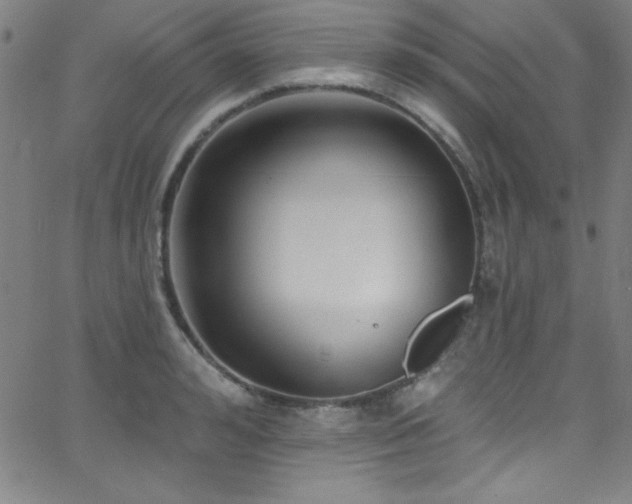 X0000068770992200604281234