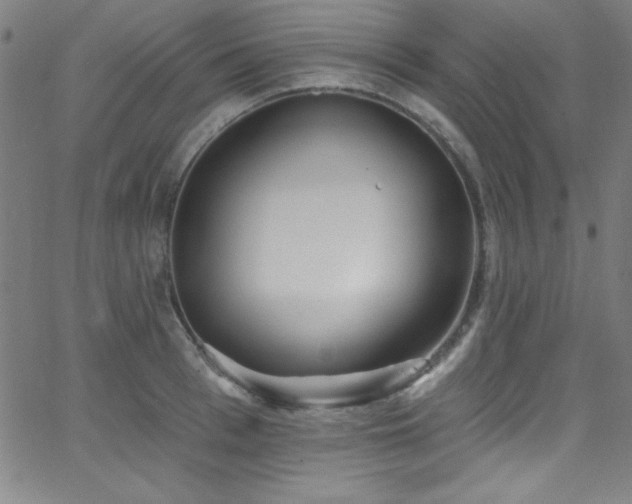 X0000068770993200604281234