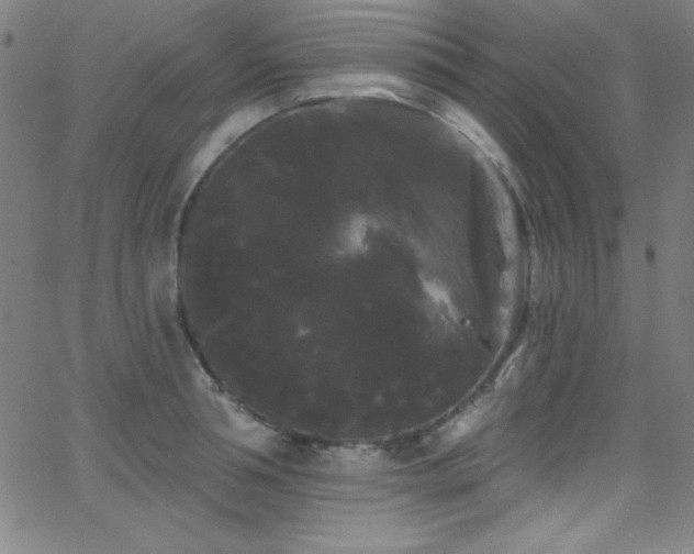 X0000068770994200604281234