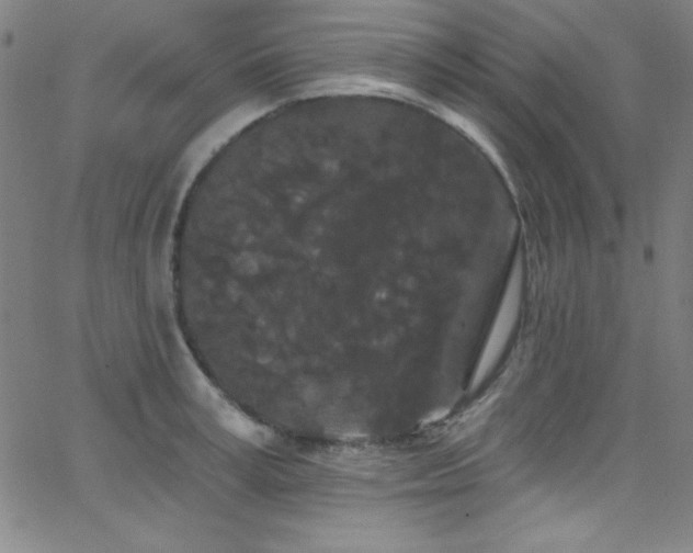 X0000068770995200604281234