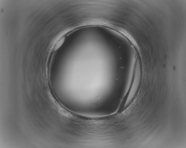 X0000068770996200604281234