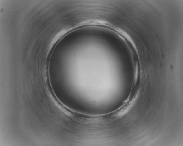 X0000068770997200604281233