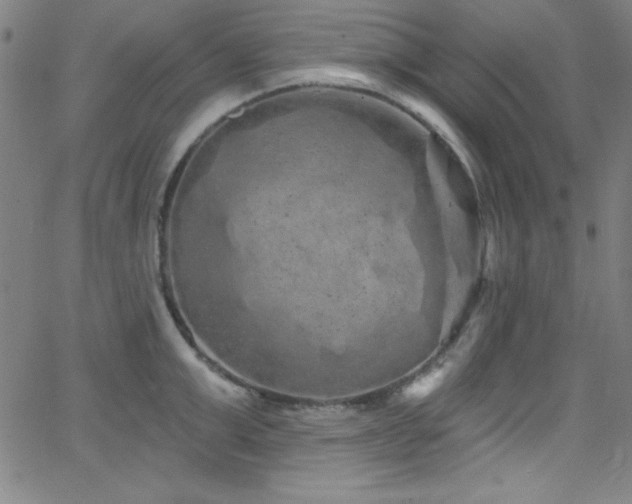 X0000068770999200604281233