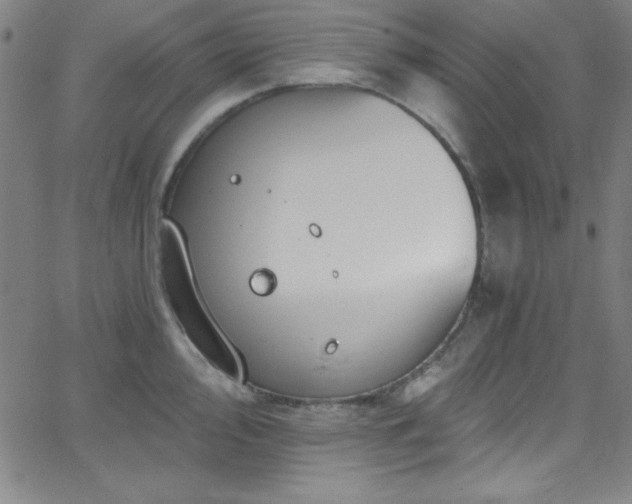 X0000068771000200604281233