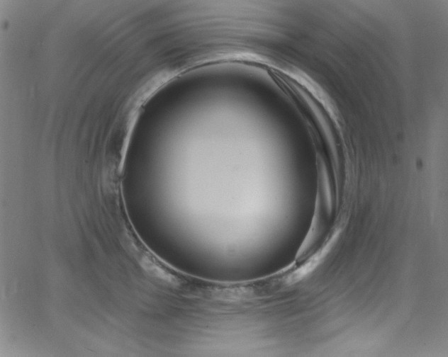 X0000068771001200604281233