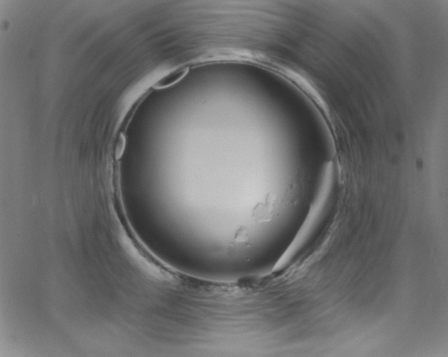 X0000068771003200604281233