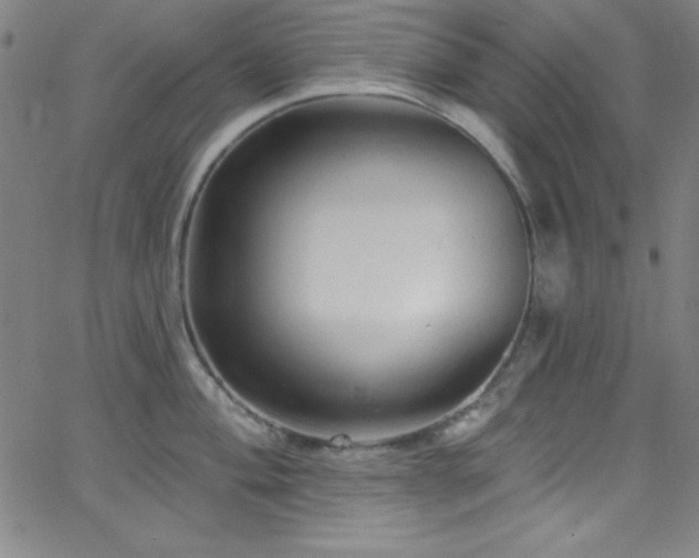 X0000068771004200604281233