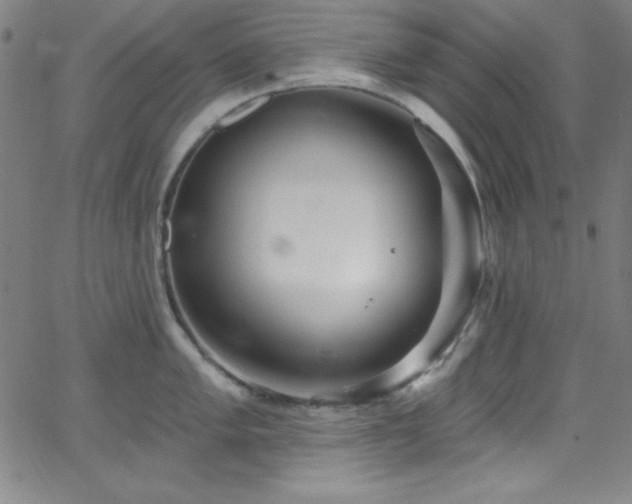 X0000068771005200604281233