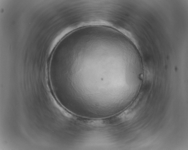 X0000068771006200604281233