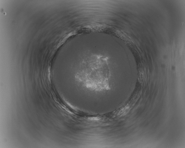 X0000068771010200604281232