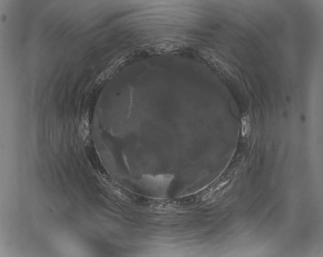 X0000068771011200604281232