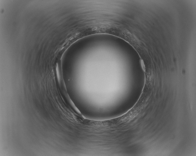 X0000068771012200604281232