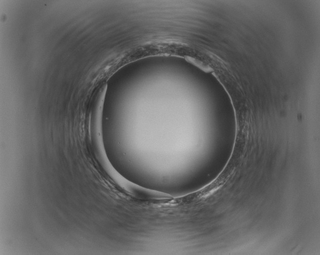 X0000068771014200604281233