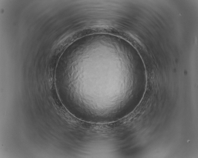 X0000068771015200604281233