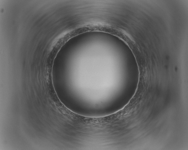 X0000068771016200604281233