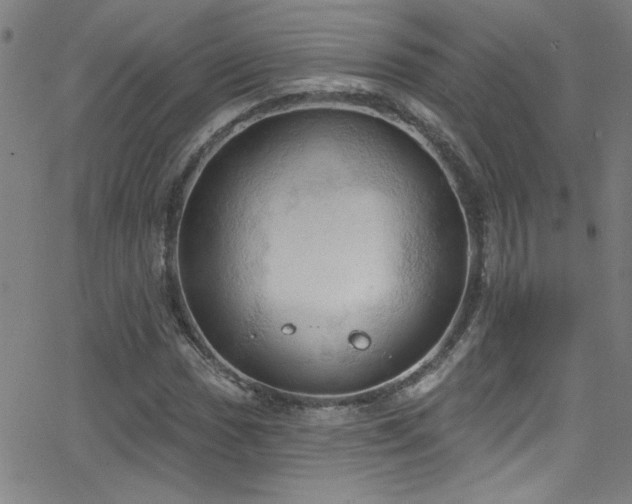 X0000068771017200604281233