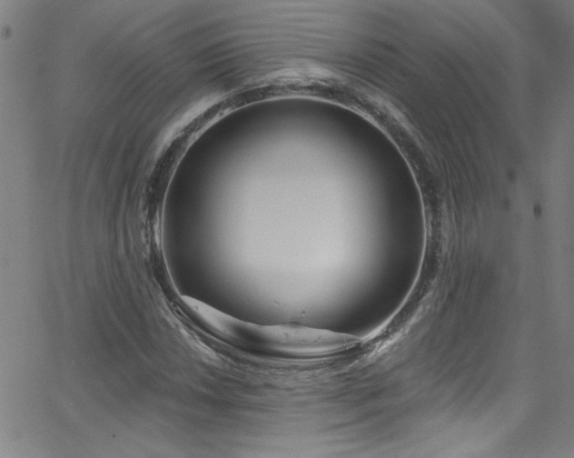 X0000068771018200604281233