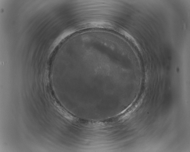 X0000068771019200604281233